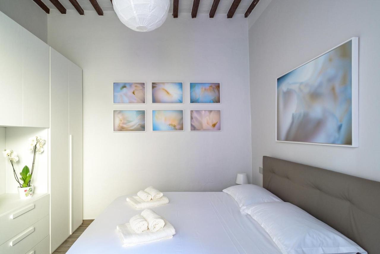 Pisa Art Apartment Extérieur photo
