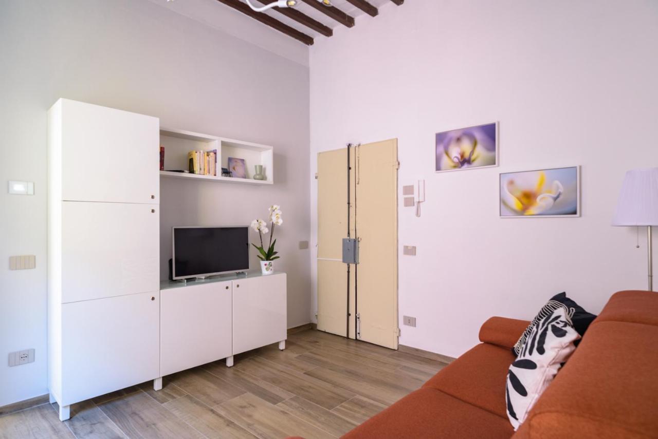 Pisa Art Apartment Extérieur photo